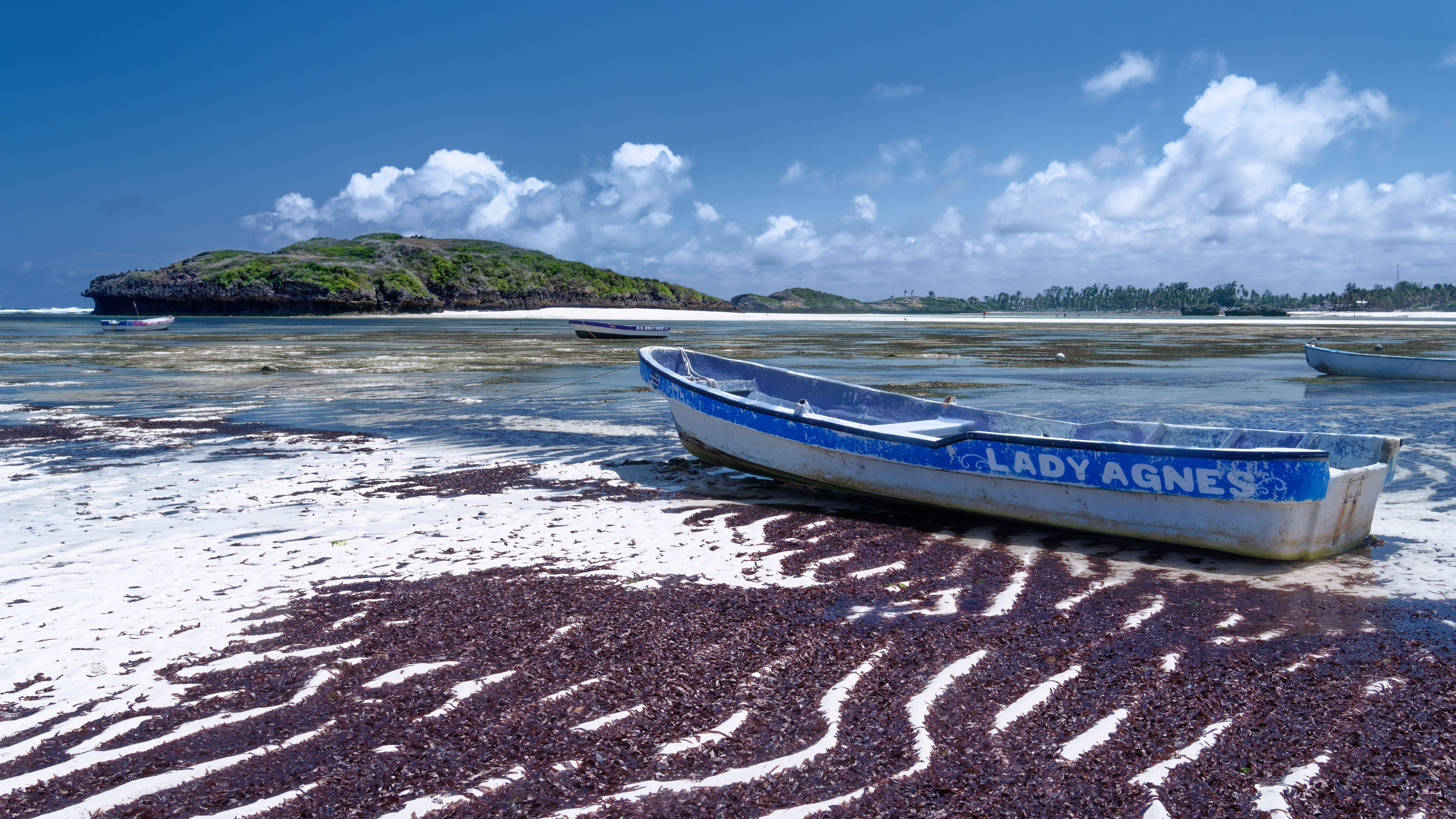 Diani & Watamu - Open horizon